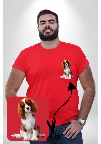 Cavalier King Charles Spaniel Kırmızı Büyük Beden Kadın Basic Minimal Baskılı Tişört