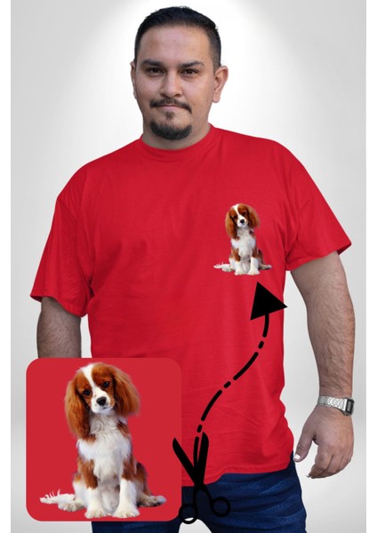 Cavalier King Charles Spaniel Kırmızı Büyük Beden Kadın Basic Minimal Baskılı Tişört modelleri