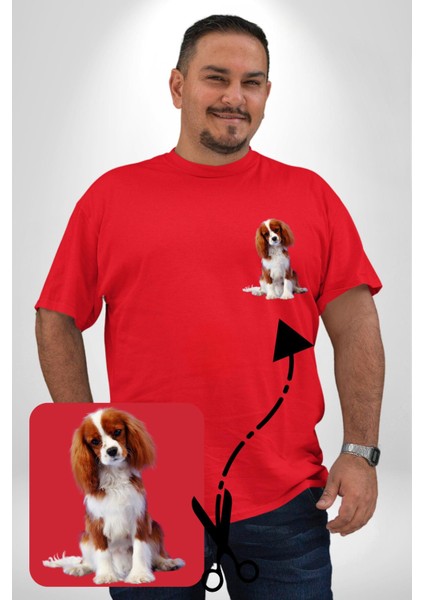 Cavalier King Charles Spaniel Kırmızı Büyük Beden Kadın Basic Minimal Baskılı Tişört fırsatları