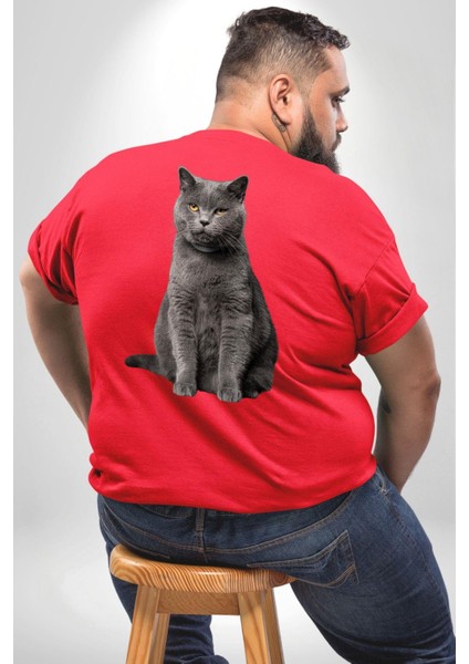 British Shorthair Kedi Büyük Beden Kırmızı Tişört Kadın Erkek Ünisex Sırt Baskılı