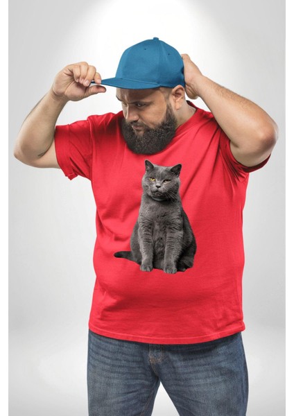 British Shorthair Kedi Kırmızı Büyük Beden Erkek Kadın Unisex Basic Ön Baskılı Tişört