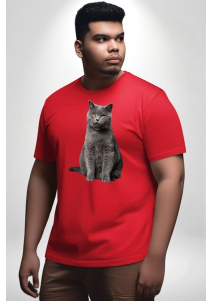 British Shorthair Kedi Kırmızı Büyük Beden Erkek Kadın Unisex Basic Ön Baskılı Tişört fiyatları