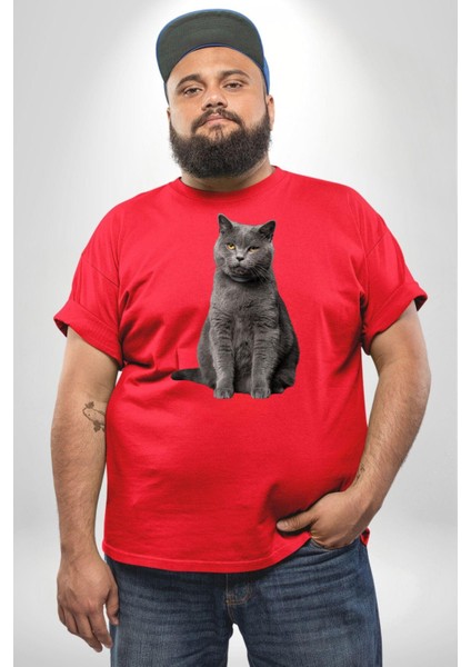 British Shorthair Kedi Kırmızı Büyük Beden Erkek Kadın Unisex Basic Ön Baskılı Tişört modelleri