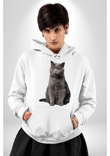 British Shorthair Kedi Kadın Erkek Beyaz Kapüşonlu Sweatshirt Hoodie