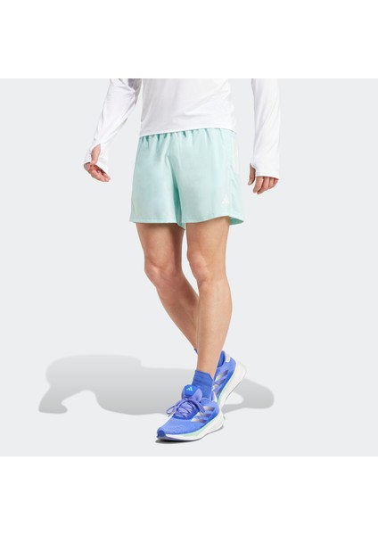 IZ4399 Otr B Short