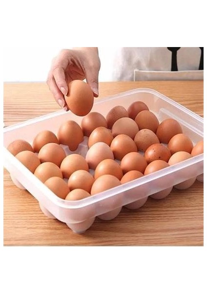 Ug® 30LU Yumurta Saklama Kabı