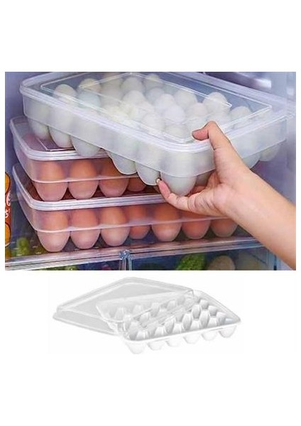 Ug® 30LU Yumurta Saklama Kabı