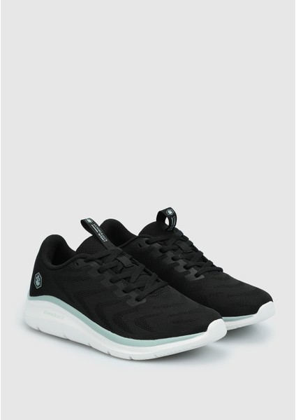 Siyah Kadın Sneaker fiyatları