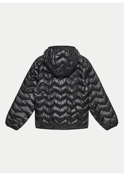 Siyah Kadın Mont 21INCN04U 100 modelleri