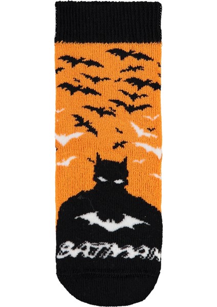 Erkek Çocuk Soket Çorap 2-12 Yaş Standart modelleri