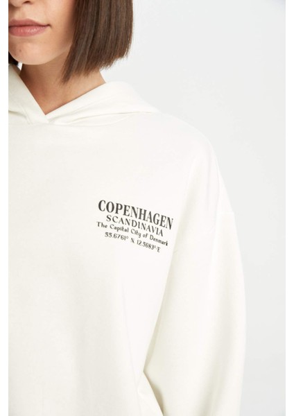 Boxy Fit Kapüşonlu Baskılı Sweatshirt D6718AX24WN