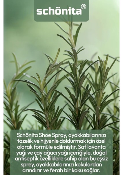 Lavanta Ve Çay Ağacı Yağı Içerikli Koku Önleyici Ayak Spreyi - Shoe Spray - 100ml fiyatları