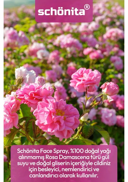 Gül Suyu Içerikli Nemlendirici Ve Ferahlatıcı Yüz Spreyi - Face Spray - 100ml modelleri