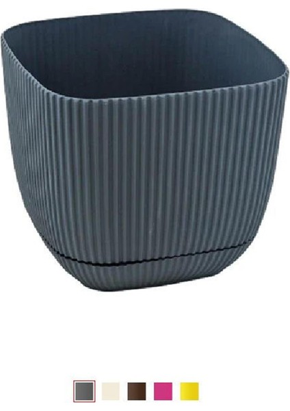 3 Numara Mercan Kare Saksı ROYALEKS-KRS-383