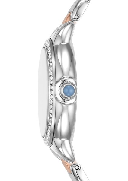 AR11597 Kadın Kol Saati fiyatları