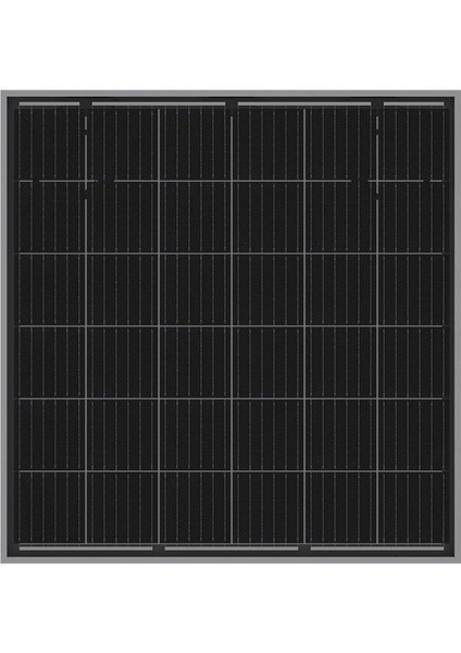 Tommatech 90WP Bifacial 36PMB12 Güneş Paneli