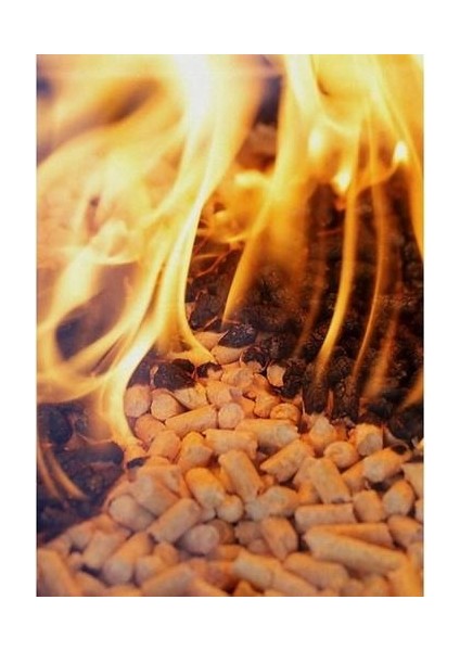 Pelet Yakıtı %100 Doğal Çam Peleti Kedi Kumu 15 kg