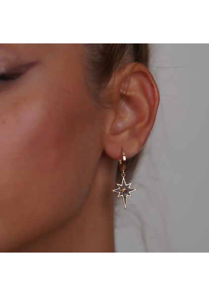 Siyah Mineli Kutup Yıldızı fiyatları