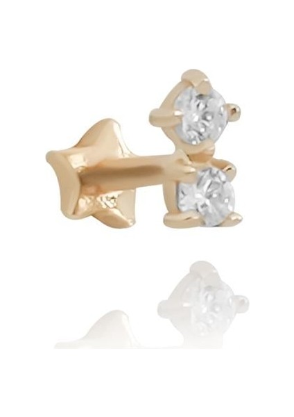 Dual Tragus