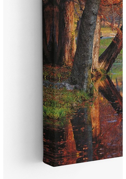 Dekoratif Kanvas Tablo - FDC215 modelleri