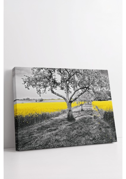 Dekoratif Kanvas Tablo - FDC234 modelleri