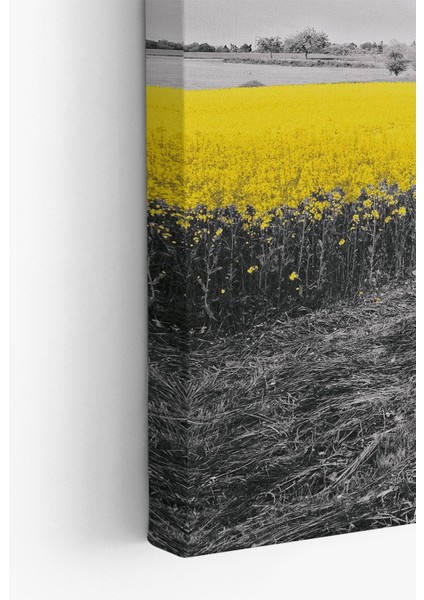 Dekoratif Kanvas Tablo - FDC234 fırsatları