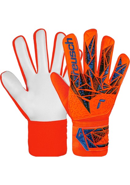 Attrakt Starter Solid Kaleci Eldiveni 5470514-2210 fiyatları