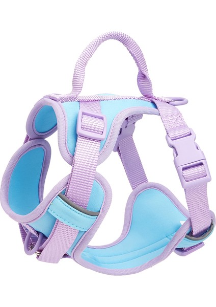 Köpek Tasmaları (Yurt Dışından)