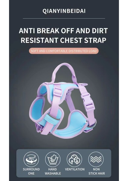 Köpek Tasmaları (Yurt Dışından) fiyatları