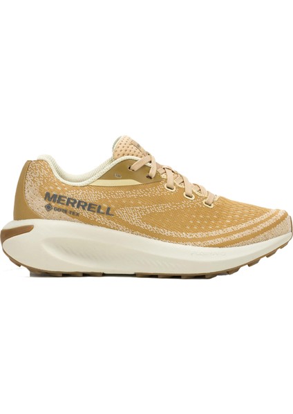 Morphlıte Gtx Kadın Yol Koşusu Ayakkabısı