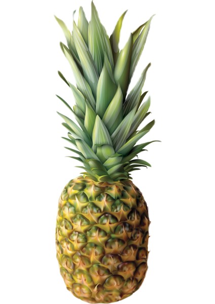 Freeze Dried Dilim Ananas - 200 Gr. - Büyük Boy - Dondurularak Kurutulmuş