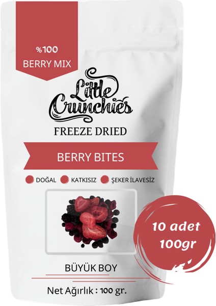 Freeze Dried Berry Mix Bites - 1 Kg. - Büyük Boy - Dondurularak Kurutulmuş 10*100 Gr.