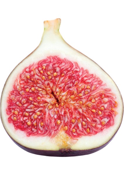 Freeze Dried Dilim Incir - 1 Kg. - Büyük Boy - Dondurularak Kurutulmuş 5X200 Gr. modelleri