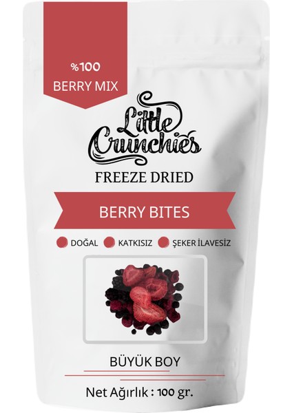 Freeze Dried Berry Mix Bites - 100 Gr. - Büyük Boy - Dondurularak Kurutulmuş