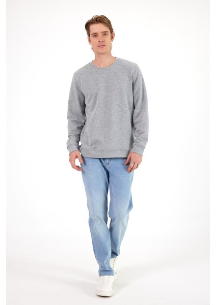 Erkek Rich Gri Melanj Bisiklet Yaka Regular Fit 3 Iplik Sweatshirt
