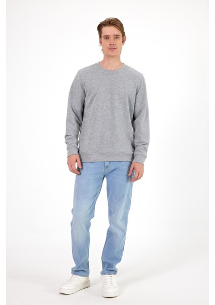 Erkek Rich Gri Melanj Bisiklet Yaka Regular Fit 3 Iplik Sweatshirt modelleri