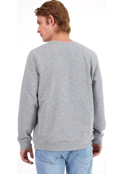 Erkek Rich Gri Melanj Bisiklet Yaka Regular Fit 3 Iplik Sweatshirt fırsatları