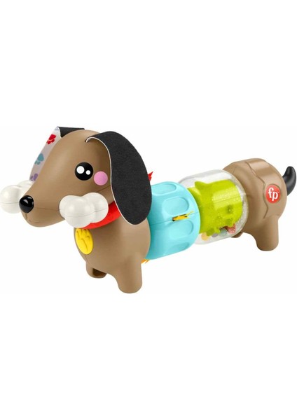 Fisher Price Köpekçikle Eğlenceli Aktiviteler HTW91