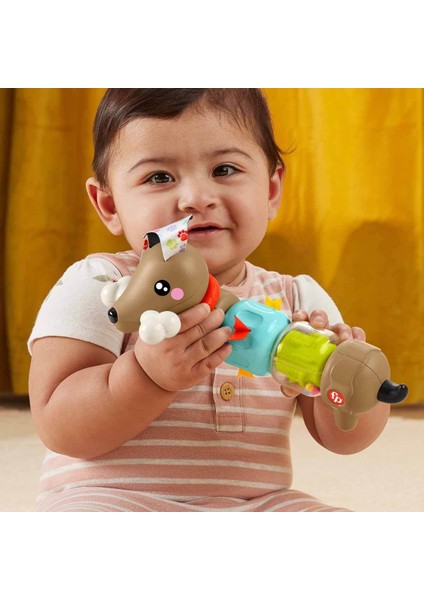 Fisher Price Köpekçikle Eğlenceli Aktiviteler HTW91