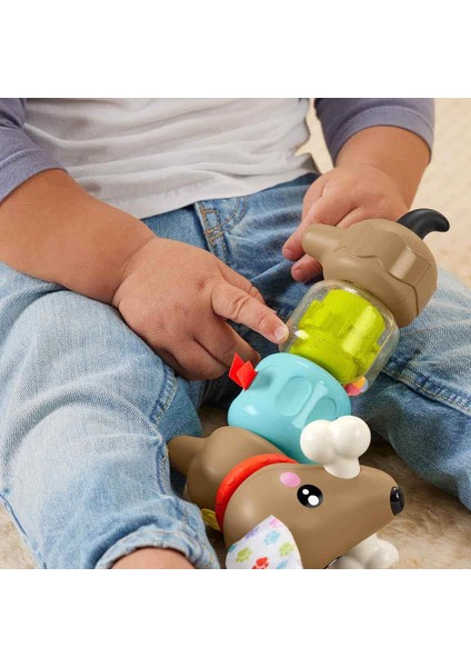 Fisher Price Köpekçikle Eğlenceli Aktiviteler HTW91