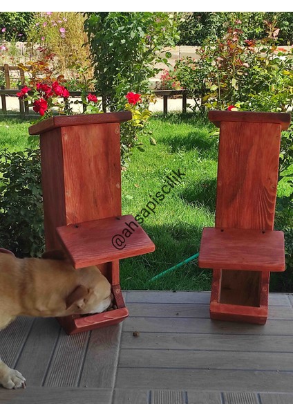 Kedi , Köpek Mama Kabı-Standı