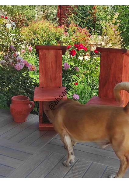 Kedi , Köpek Mama Kabı-Standı indirimleri