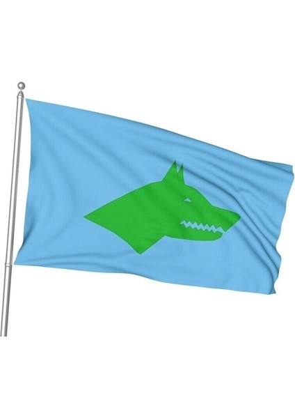 Göktürk Bayrağı 100X150CM