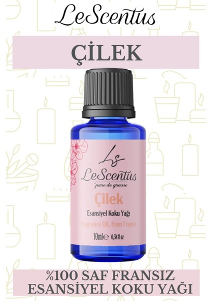 Le Scentus Çilek Esansiyel Koku Yağı ODAKOKUSU10ml