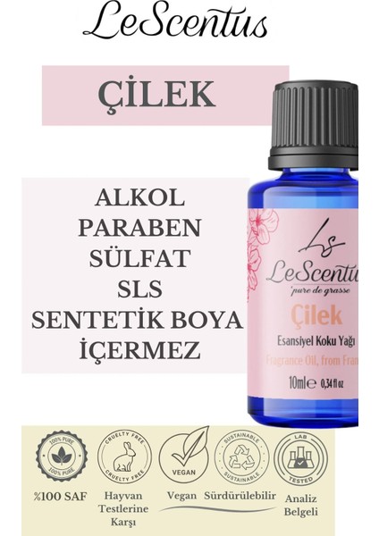 Le Scentus Çilek Esansiyel Koku Yağı ODAKOKUSU10ml