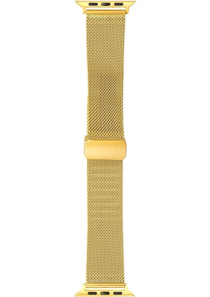 Apple Watch 10 / 11 42 mm Uyumlu Hasır Metal Kordon Magnetik D Tokalı Tel Örgü Kayış Mıknatıslı Toka modelleri