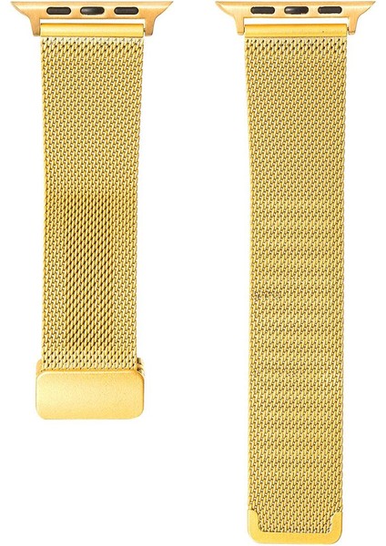 Apple Watch 10 / 11 42 mm Uyumlu Hasır Metal Kordon Magnetik D Tokalı Tel Örgü Kayış Mıknatıslı Toka fırsatları