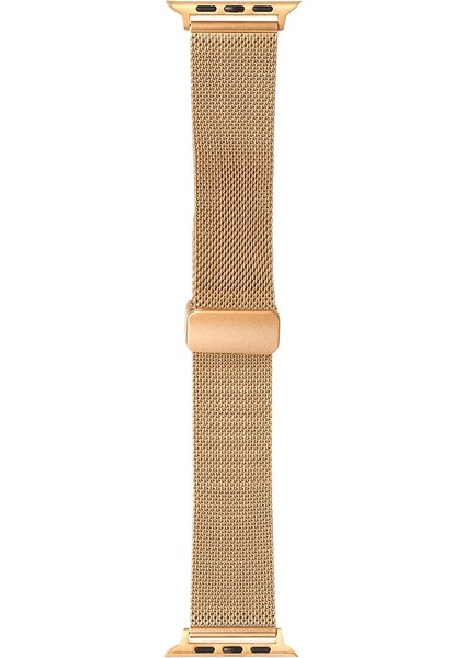 Apple Watch 10 42 mm Uyumlu Hasır Metal Kordon Magnetik D Tokalı Tel Örgü Kayış Mıknatıslı Toka