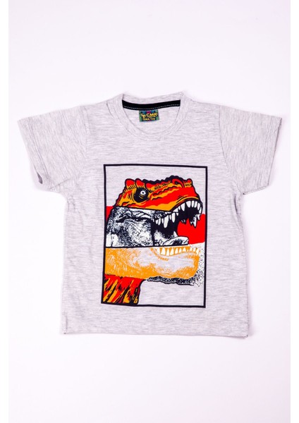 Erkek Çocuk Tshirt Dinozor Baskılı A28