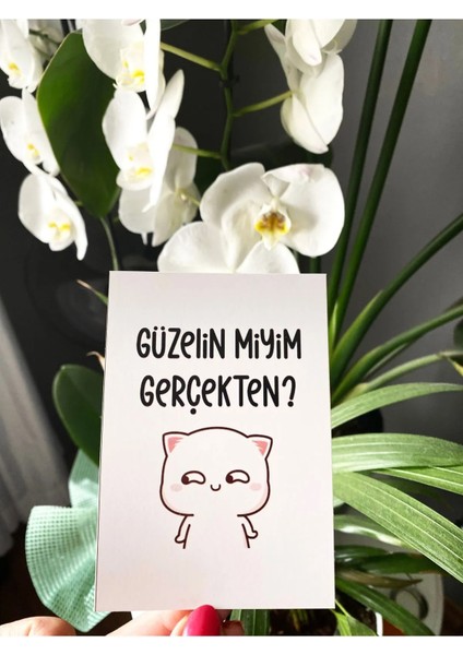 8 Adet Aşık Civciv Kocamda Kocam Karım Da Karım Sunum Kart Seti - Pano Dekorasyon fiyatları